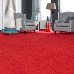 Carpets Carousel Twist Carpet