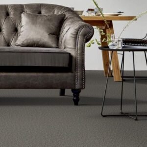 Carpets Conscious State Carpets