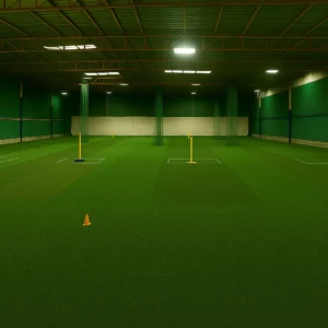 Standard CT Artificial Turf in Cricket