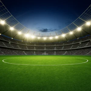 Standard FT Artificial Turf Football