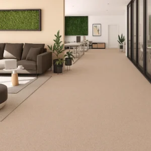 Tarkett CP CB Vinyl Flooring in Living Room