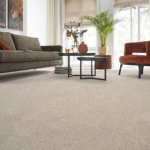 Carpets Vision Luxury Saxony Actionback Carpet
