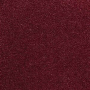 285 Red Dwarf
