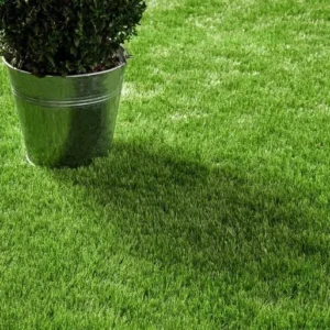 Lucerne Artificial Turf