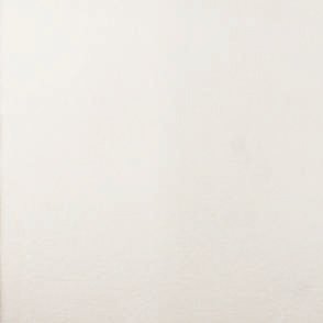 Carpets White 150101