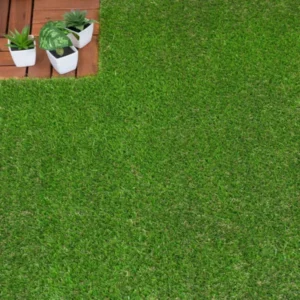 Witham 42mm Fake Grass