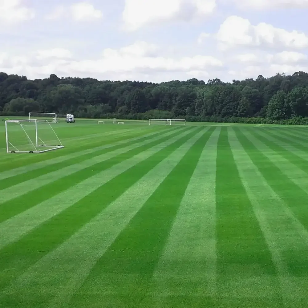Football Turf 9